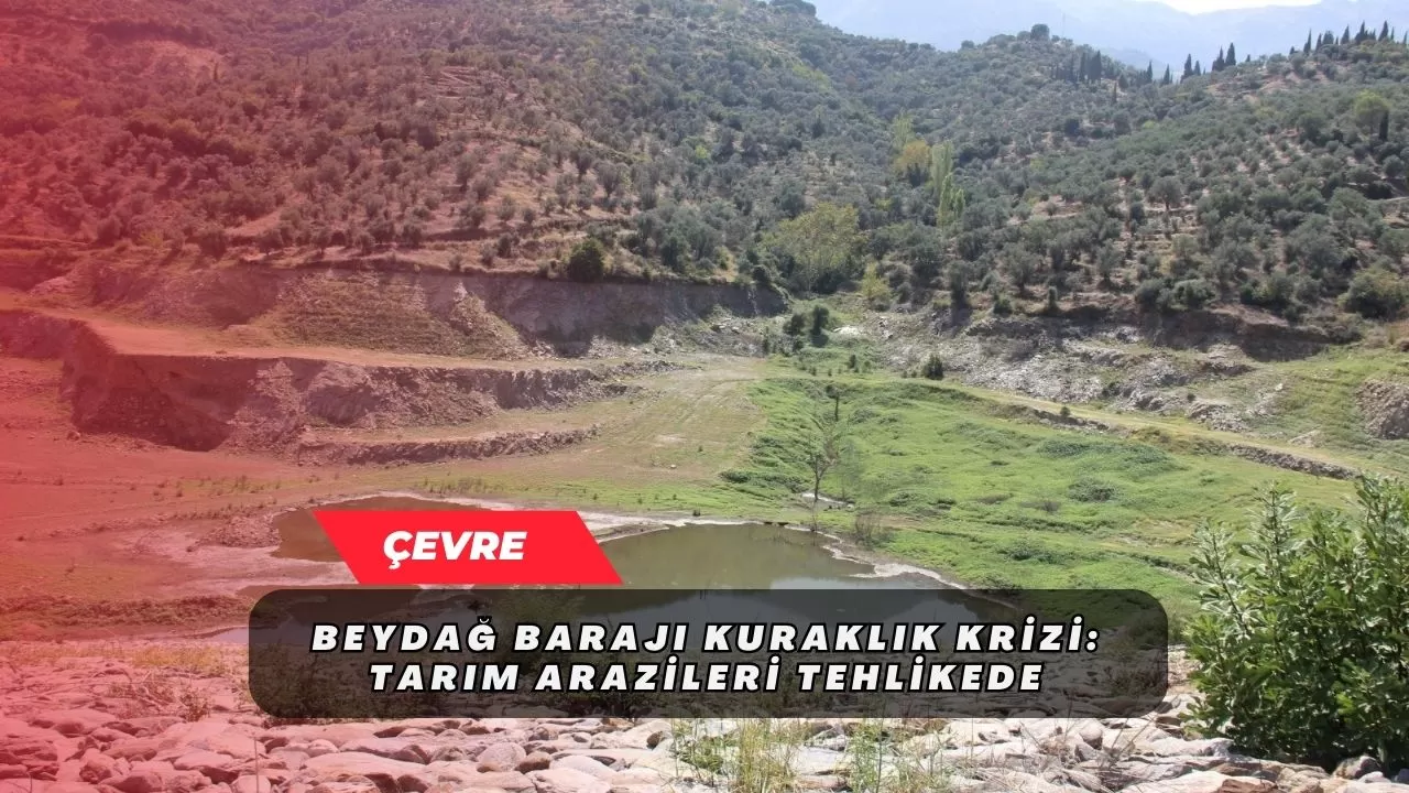 Beydağ Barajı Kuraklık Krizi: Tarım Arazileri Tehlikede