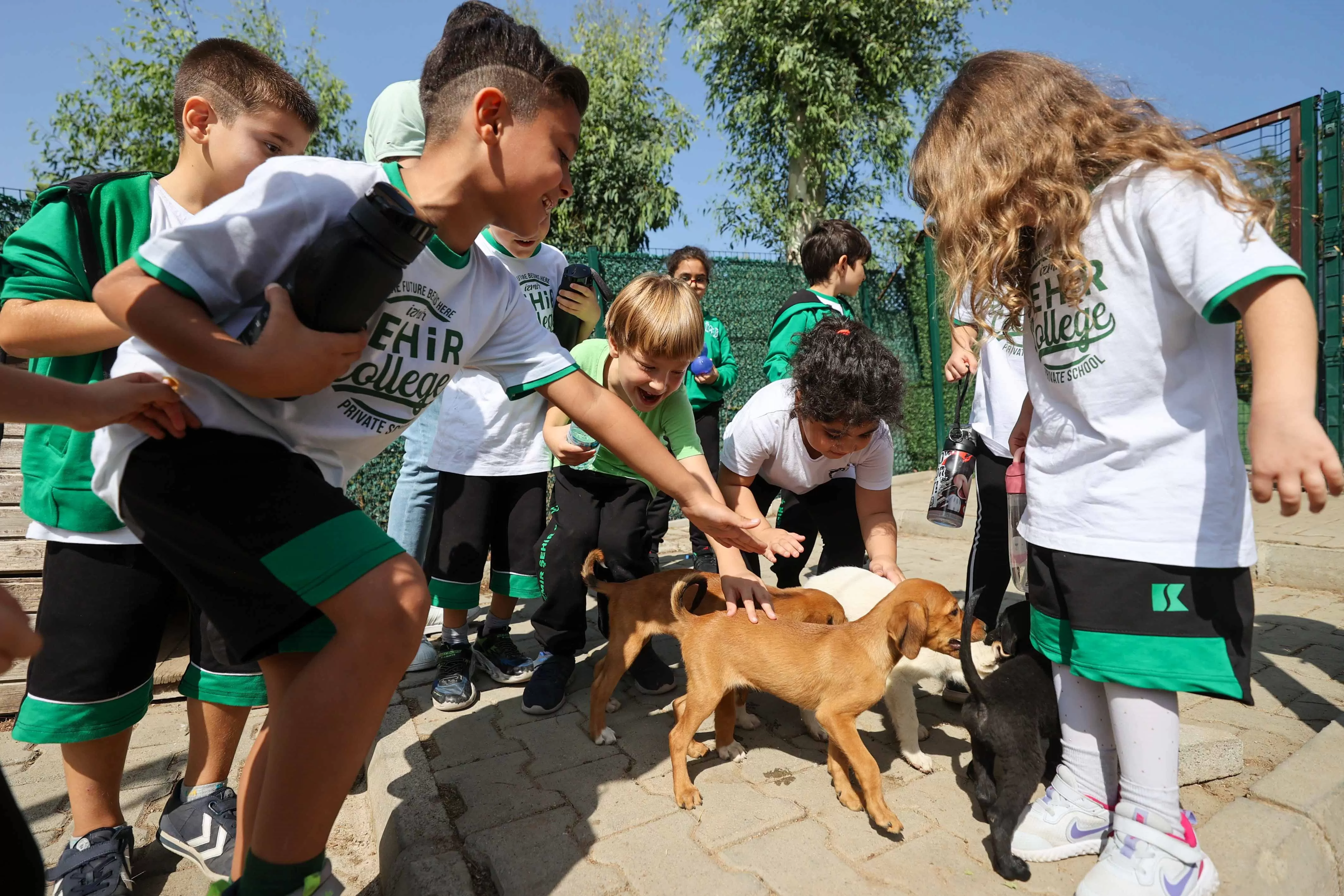 Buca Belediyesi, İzmir'deki ilkokul öğrencilerini Sokak Hayvanları Rehabilitasyon Merkezi'ne götürerek hayvan sevgisi ve çevre bilinci aşılayan özel bir projeyi başarıyla yürütüyor. 