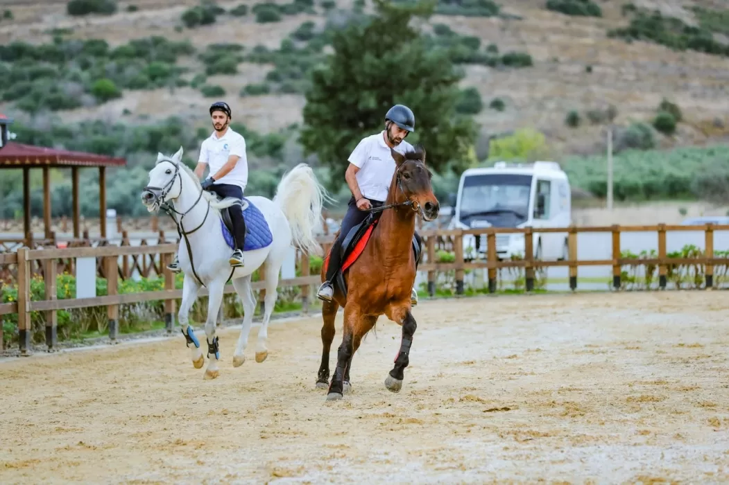 Aliağa'da Binicilik Tutkunları İçin Yepyeni Bir Dönem Başlıyor: Alia Atlı Spor Kulübü Eğitimlere Kapılarını Açıyor!