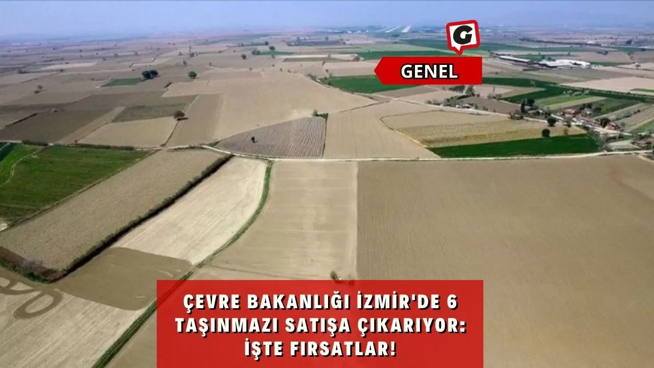 Çevre Bakanlığı İzmir'de 6 Taşınmazı Satışa Çıkarıyor: İşte Fırsatlar!