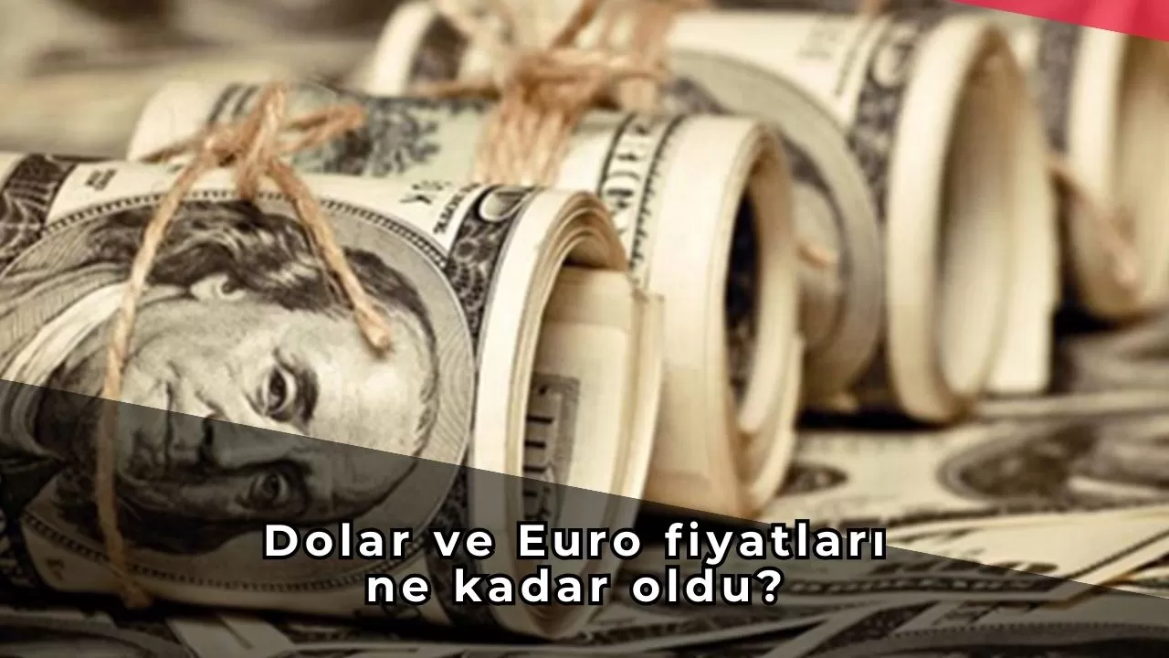 Dolar ve Euro fiyatları ne kadar oldu? 24 Kasım döviz fiyatları...
