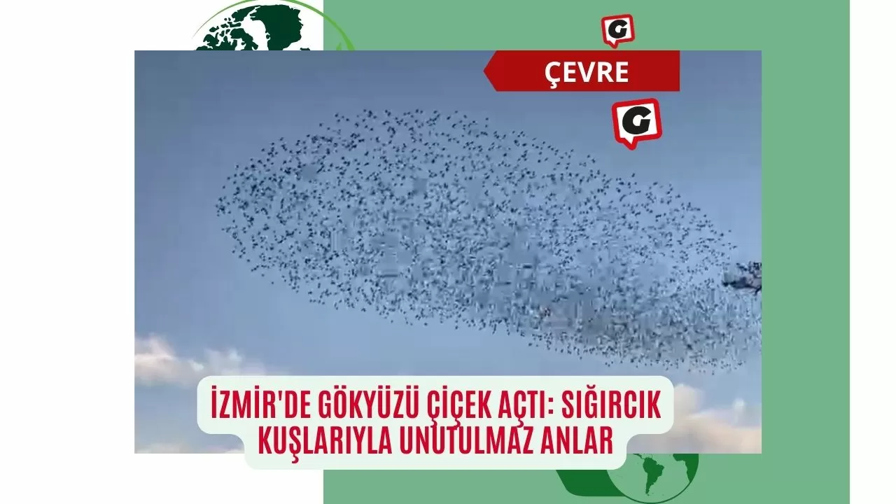 İzmir'de Gökyüzü Çiçek Açtı: Sığırcık Kuşlarıyla Unutulmaz Anlar
