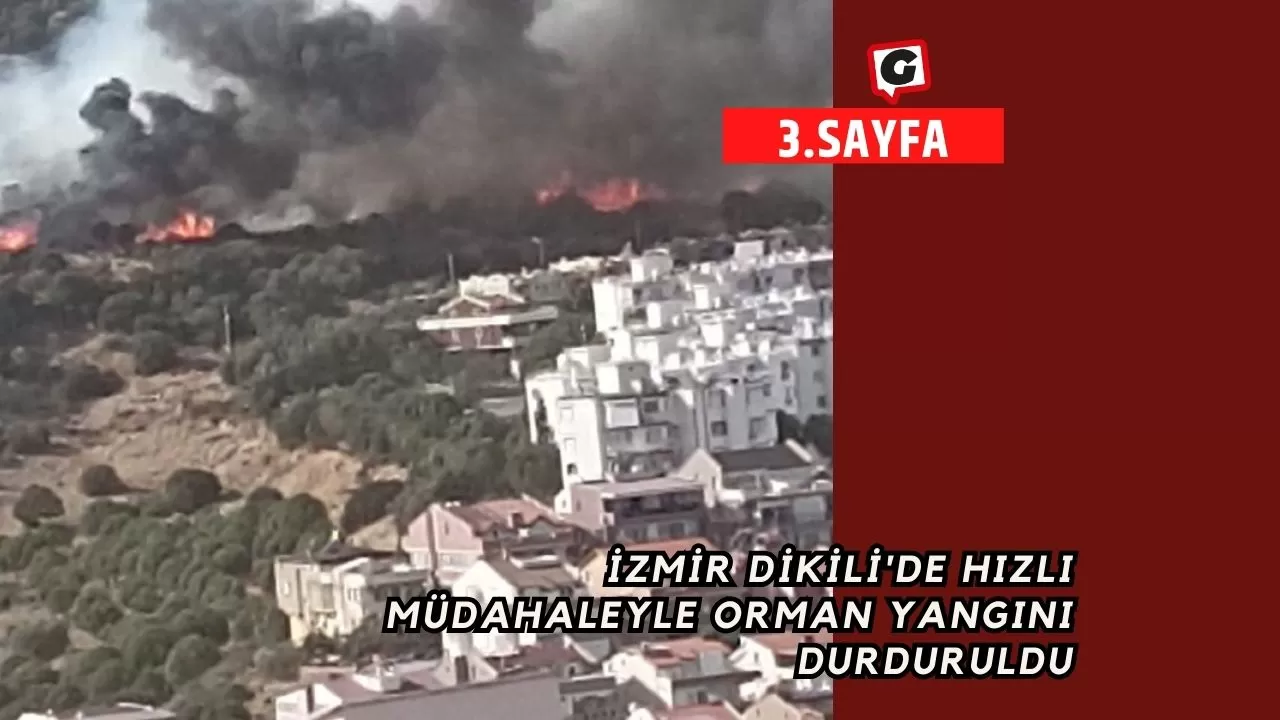 İzmir Dikili'de Hızlı Müdahaleyle Orman Yangını Durduruldu