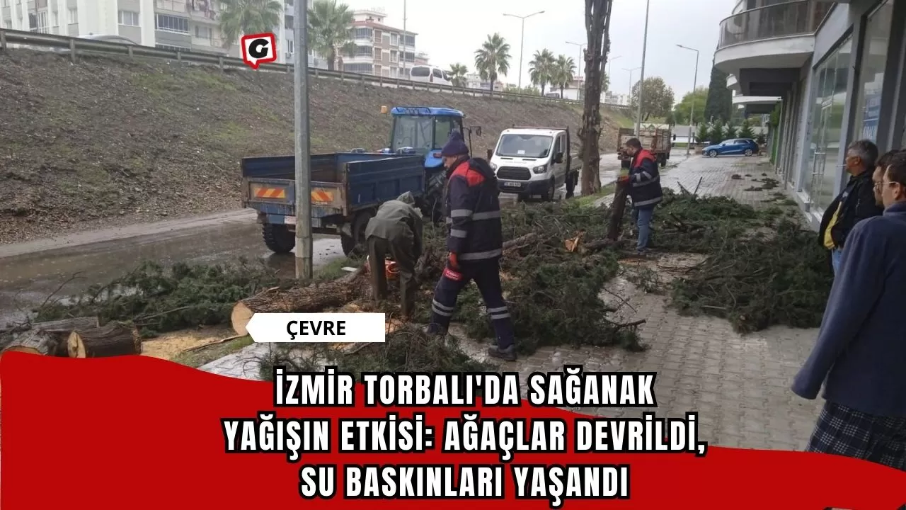 İzmir Torbalı'da sağanak yağışın etkisi: Ağaçlar devrildi, su baskınları yaşandı