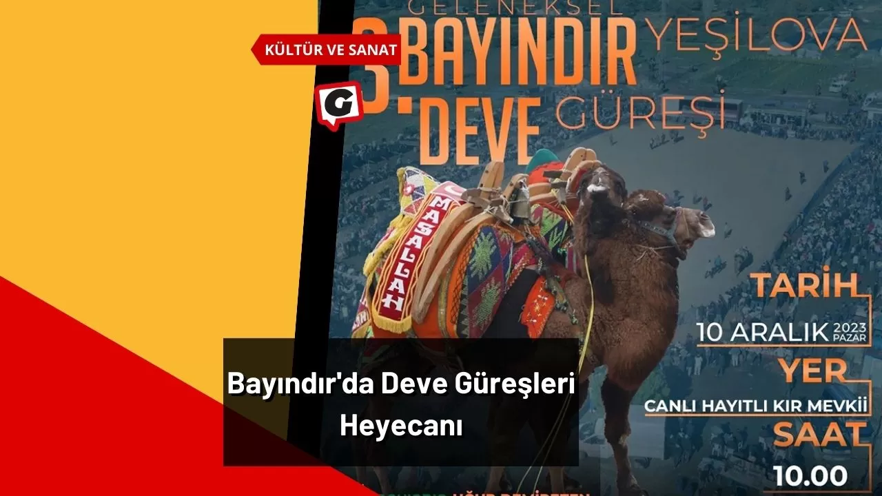 Bayındır'da Deve Güreşleri Heyecanı