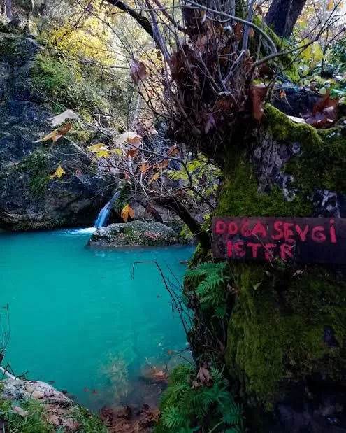 İzmir'in Menderes ilçesinde belediye başkan aday adayı İsmail Karabelin, ilçeye yeni mesire alanları kazandırmak için projelerini açıkladı.