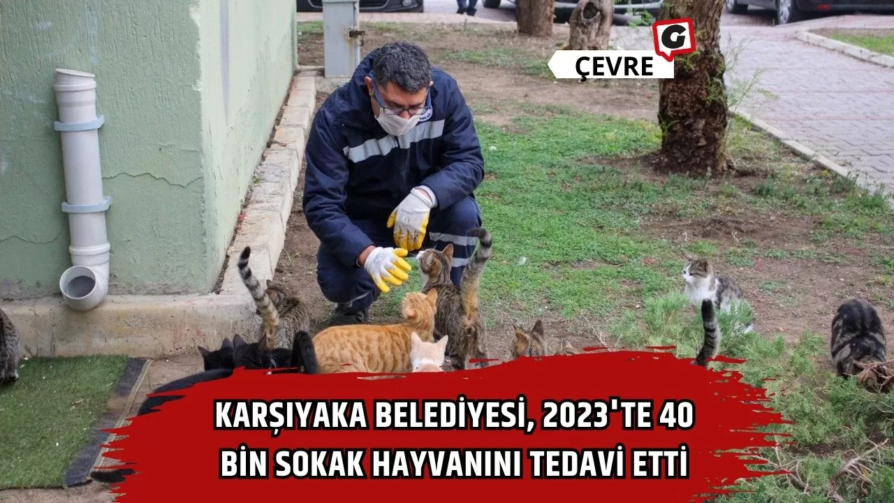 Karşıyaka Belediyesi, 2023'te 40 Bin Sokak Hayvanını Tedavi Etti