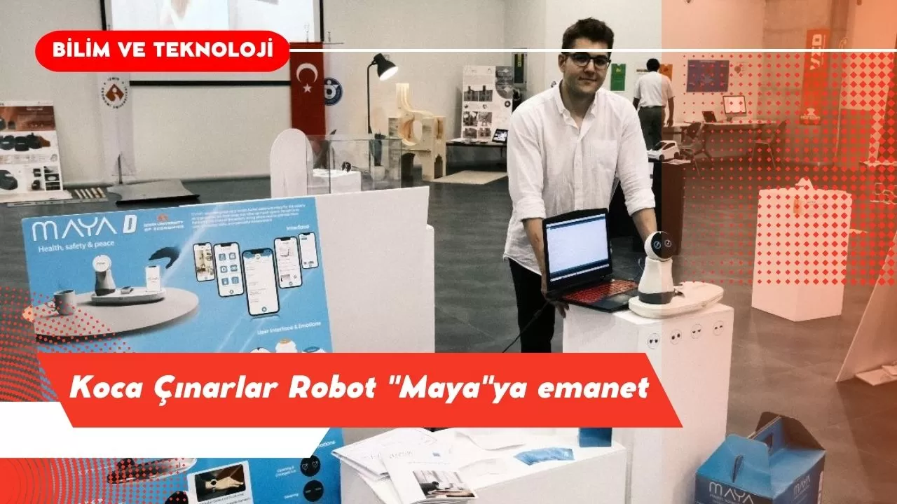Koca Çınarlar Robot "Maya"ya emanet