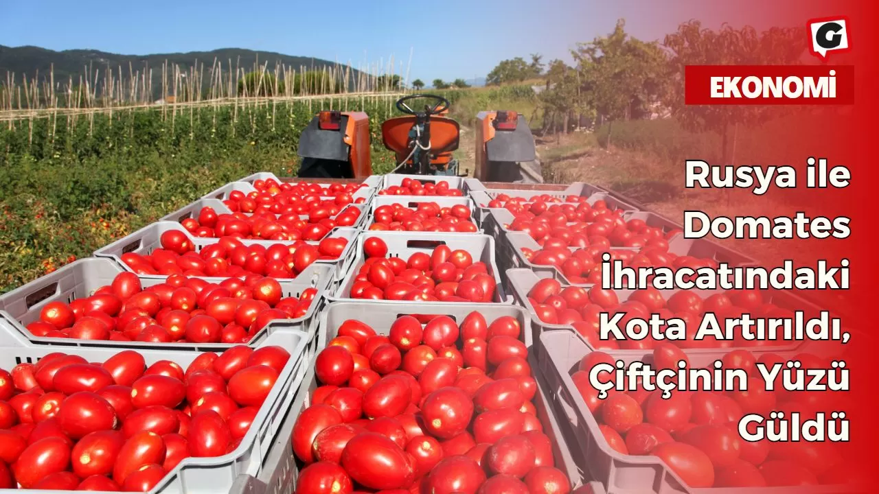Rusya ile Domates İhracatındaki Kota Artırıldı, Çiftçinin Yüzü Güldü