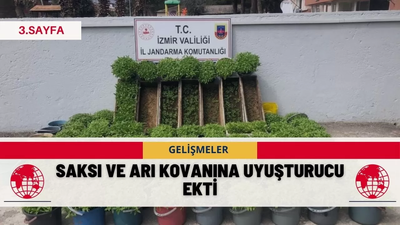 Saksı ve Arı kovanına uyuşturucu ekti