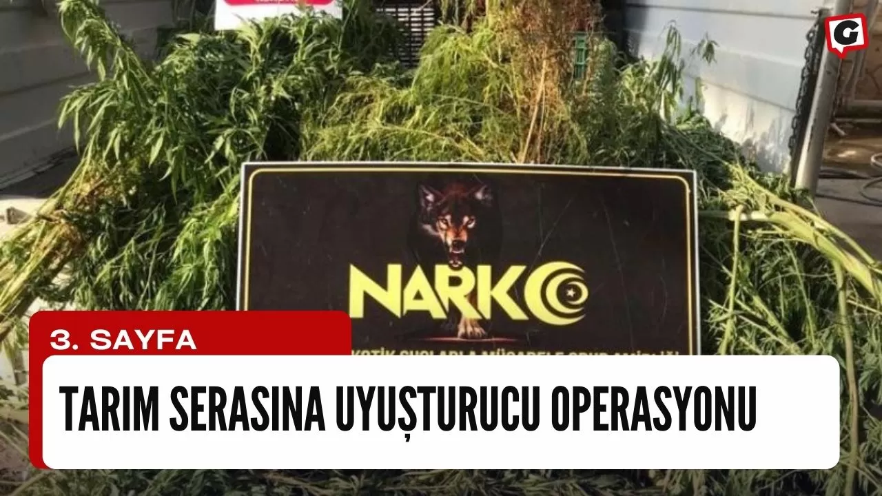 Tarım serasına uyuşturucu operasyonu