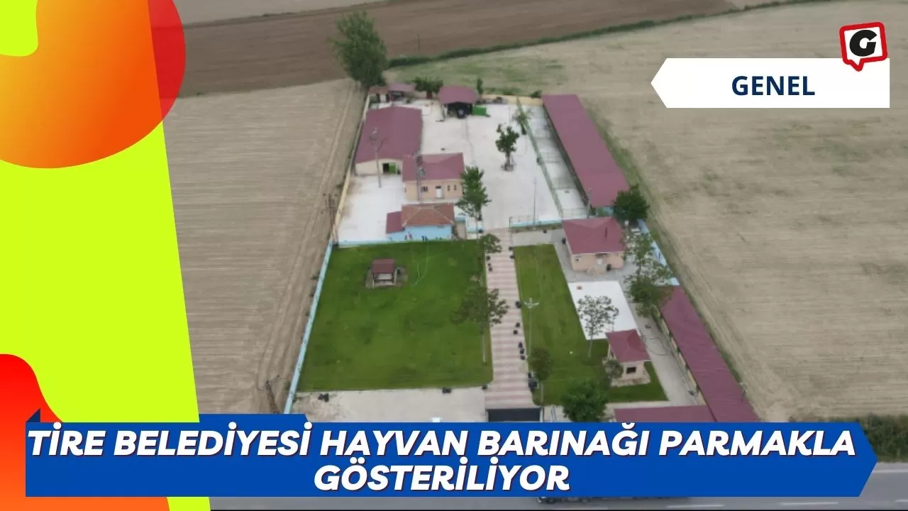 Tire Belediyesi Hayvan Barınağı Parmakla Gösteriliyor