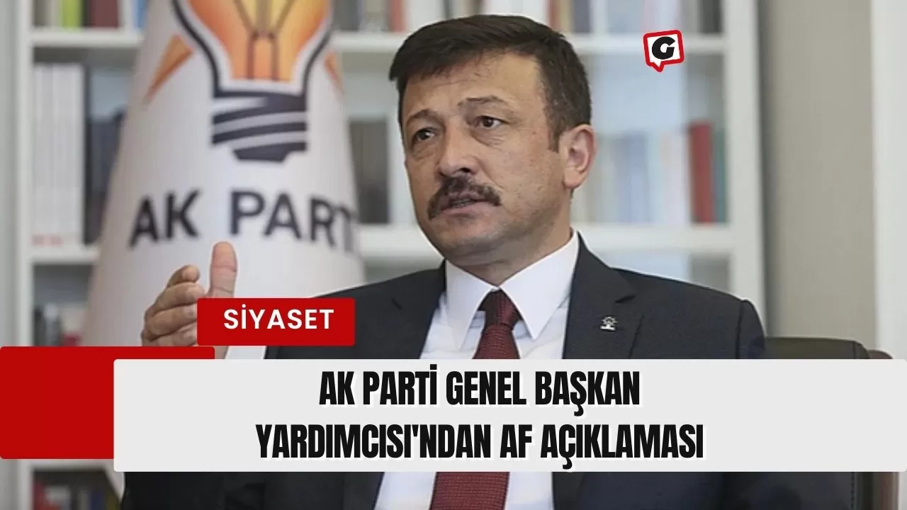 Ak Parti Genel Başkan Yardımcısı'ndan Af Açıklaması