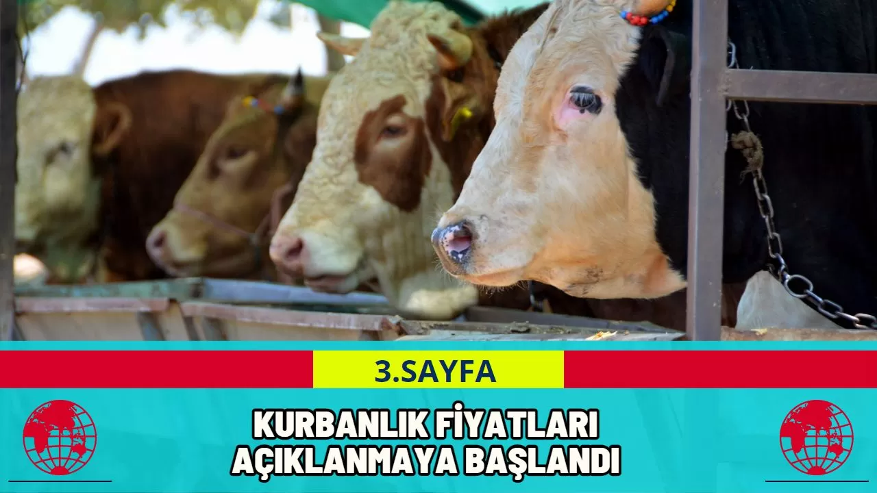 Kurbanlık Fiyatları Açıklanmaya Başlandı