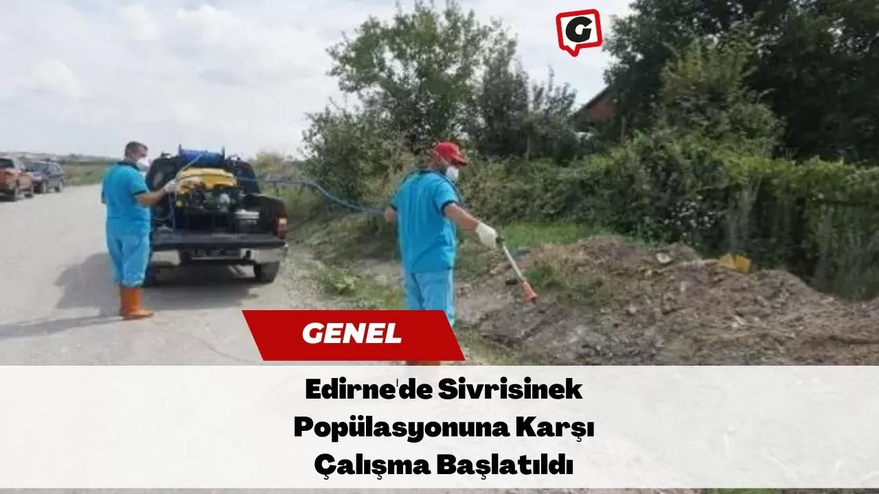 Edirne'de Sivrisinek Popülasyonuna Karşı Çalışma Başlatıldı
