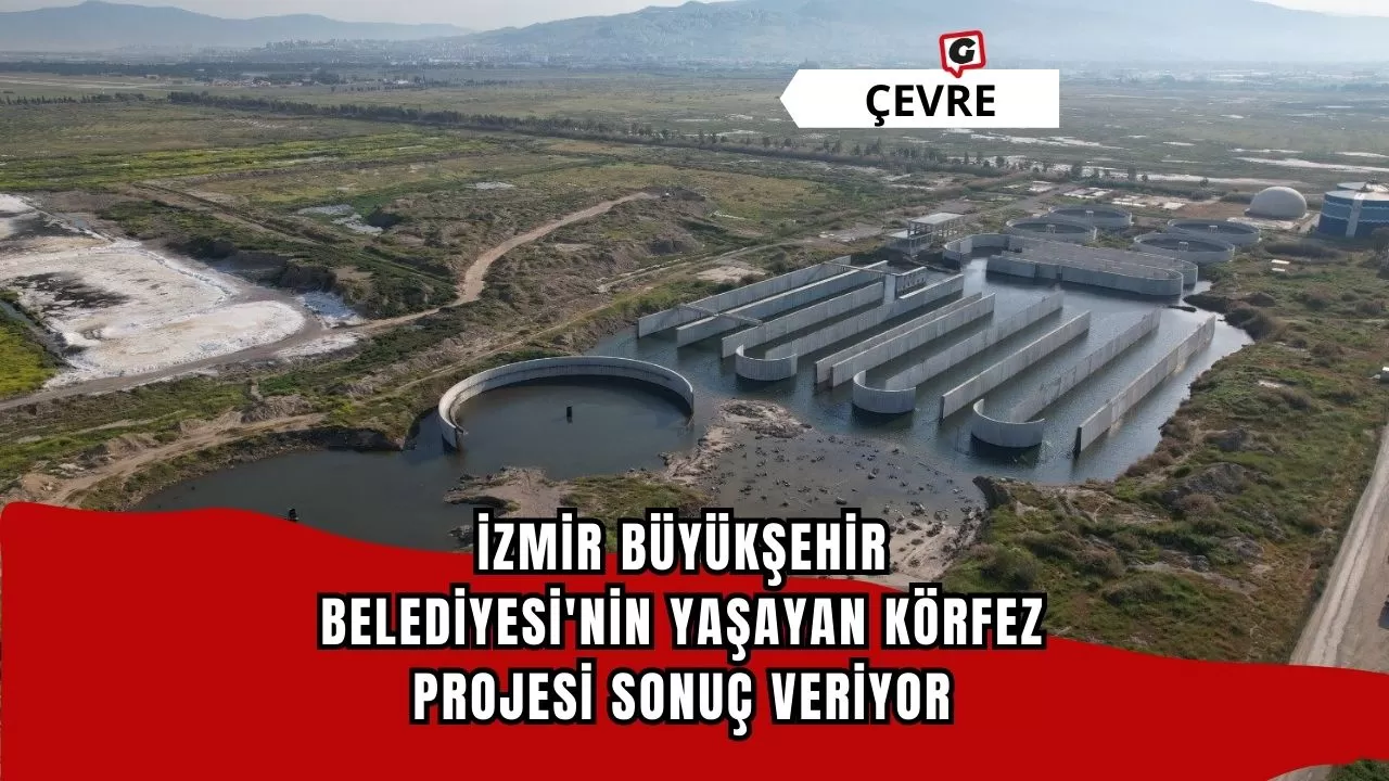 İzmir Büyükşehir Belediyesi'nin Yaşayan Körfez Projesi Sonuç Veriyor