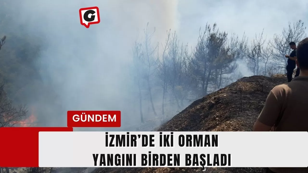 İzmir’de iki orman yangını birden başladı