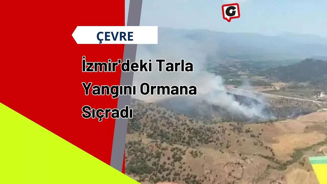 İzmir'deki Tarla Yangını Ormana Sıçradı