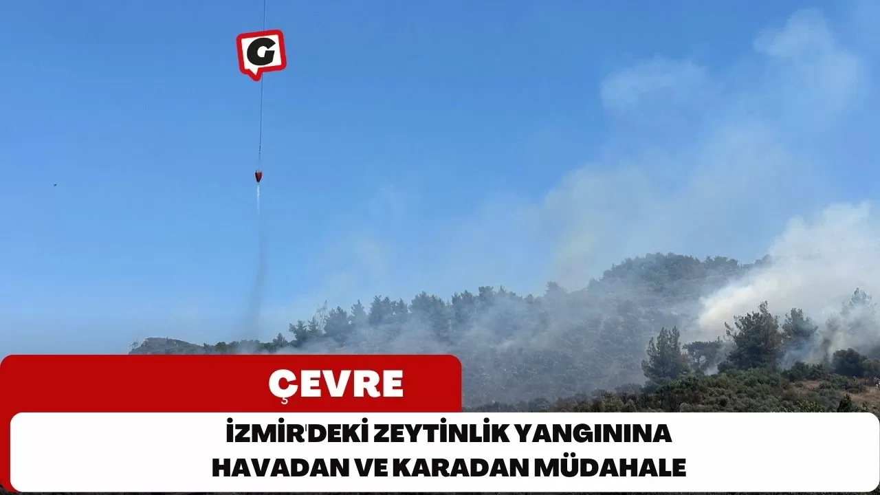 İzmir'deki Zeytinlik Yangınına Havadan ve Karadan Müdahale