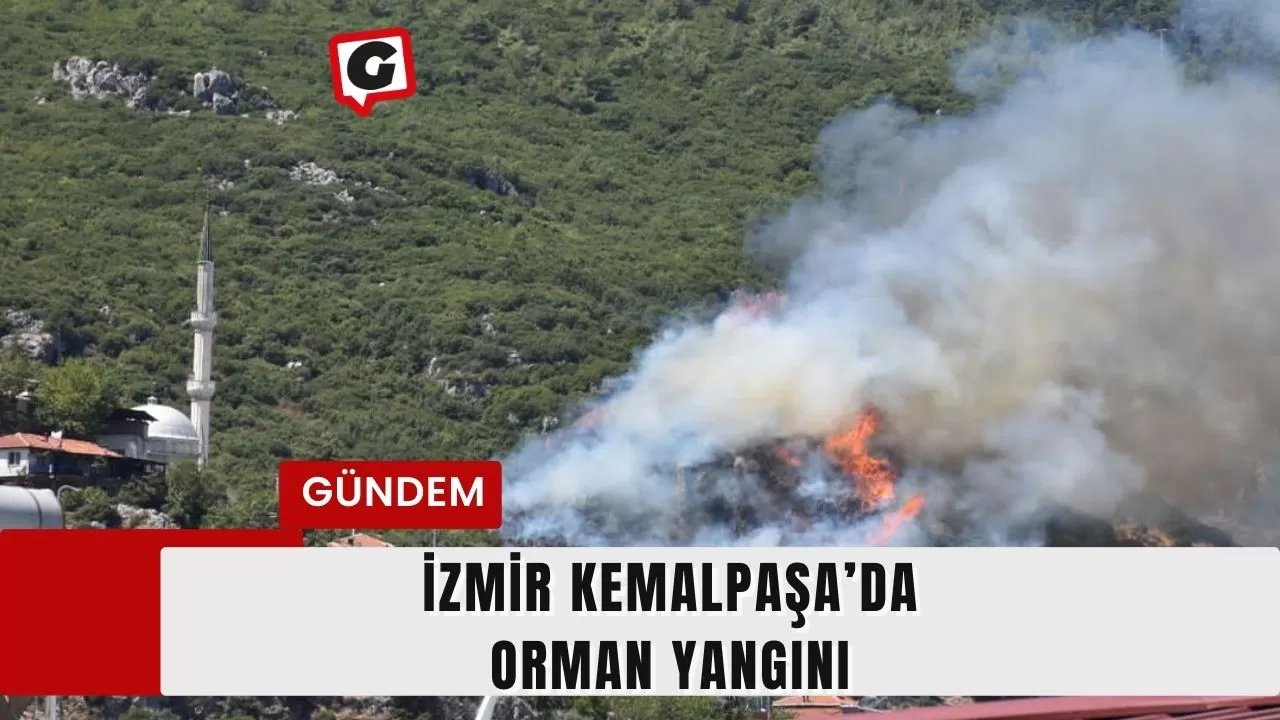 İzmir Kemalpaşa’da orman yangını