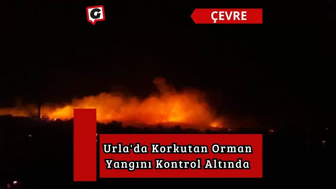 Urla'da Korkutan Orman Yangını Kontrol Altında