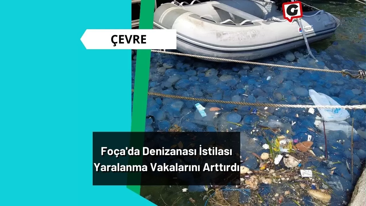 Foça'da Denizanası İstilası Yaralanma Vakalarını Arttırdı