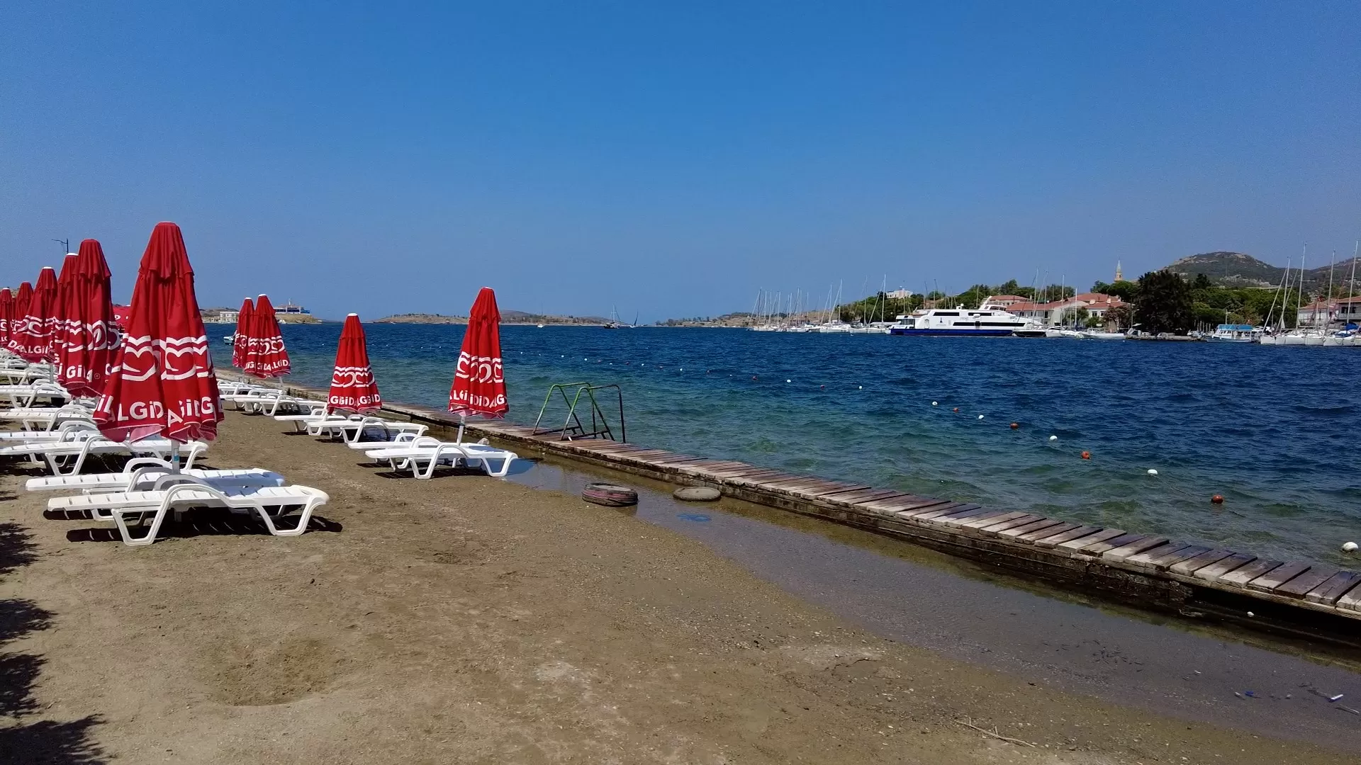 İzmir'in turistik ilçesi Foça'da, bazı sahillerde görülen denizanası istilası kentte adeta turizmi vurdu, plajlar boş kaldı.