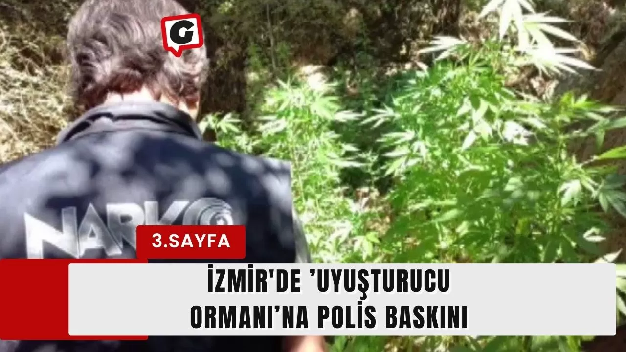 İzmir'de ’uyuşturucu ormanı’na polis baskını
