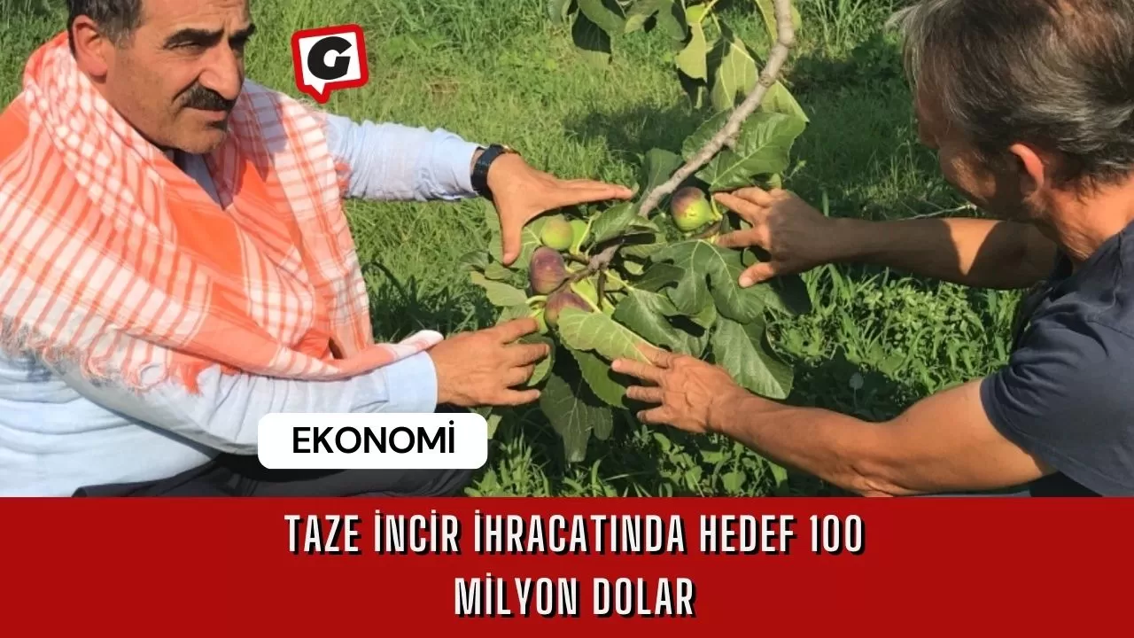 Taze incir ihracatında hedef 100 milyon dolar