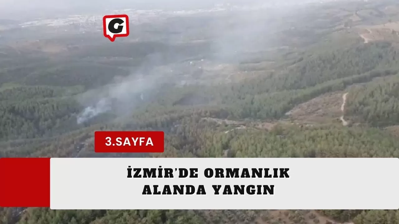 İzmir’de ormanlık alanda yangın