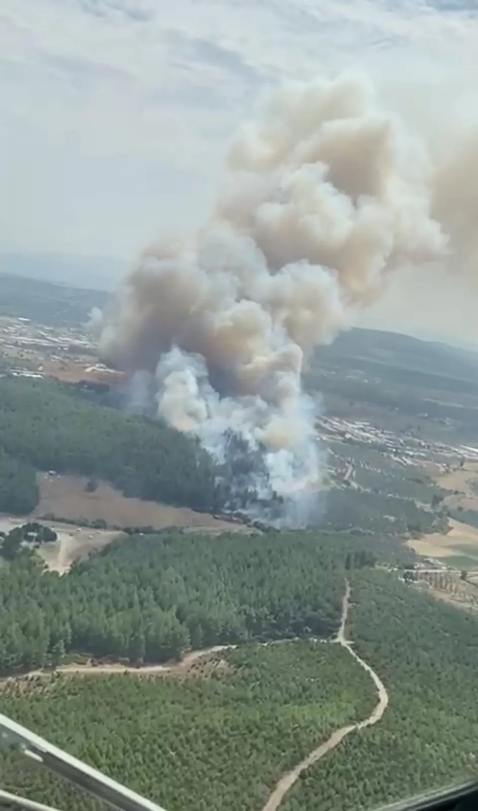 İzmir’in Gaziemir ilçesinde ormanlık alanda çıkan yangına havadan ve karadan müdahale ediliyor.