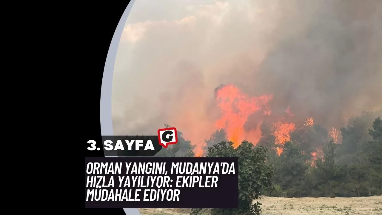 Orman Yangını, Mudanya'da Hızla Yayılıyor: Ekipler Müdahale Ediyor