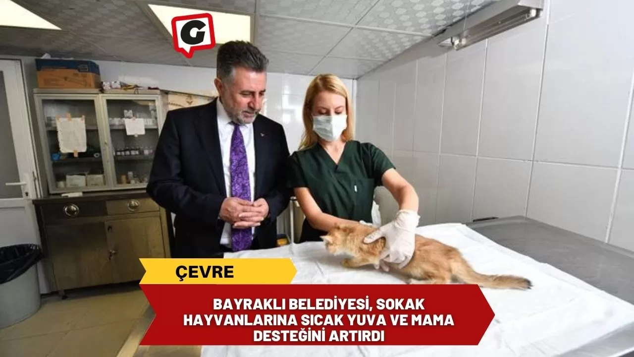 Bayraklı Belediyesi, sokak hayvanlarına sıcak yuva ve mama desteğini artırdı