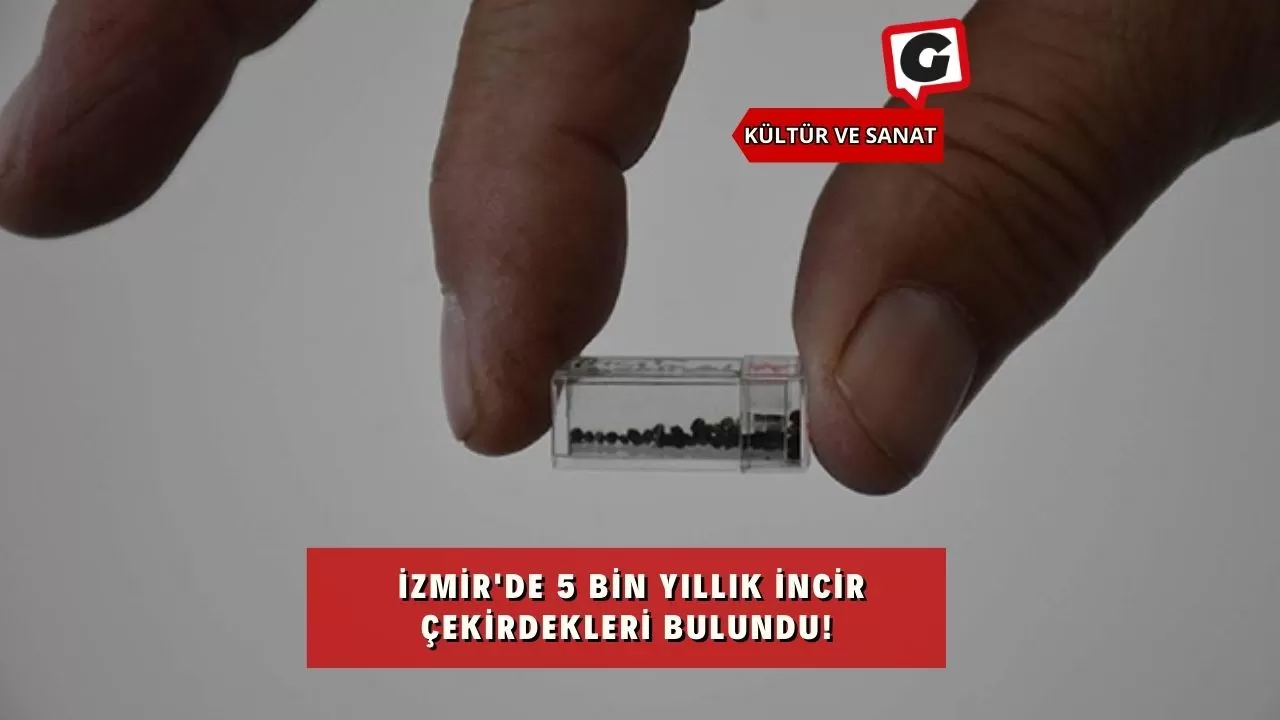 İzmir'de 5 bin yıllık incir çekirdekleri bulundu!