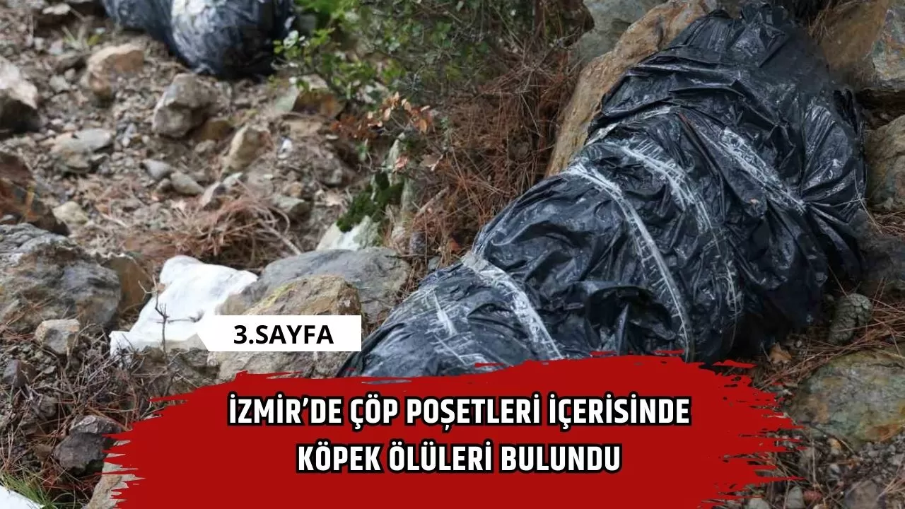 İzmir’de çöp poşetleri içerisinde köpek ölüleri bulundu