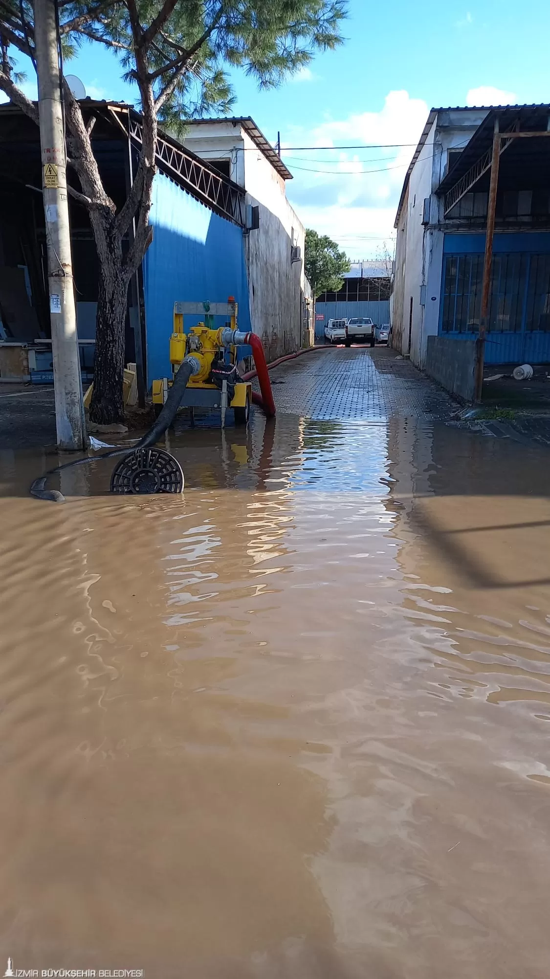 İzmir'de günün ilk saatlerinden itibaren etkili olan sağanak yağışın etkisiyle Dikili ilçesinde taşkınlar yaşandı