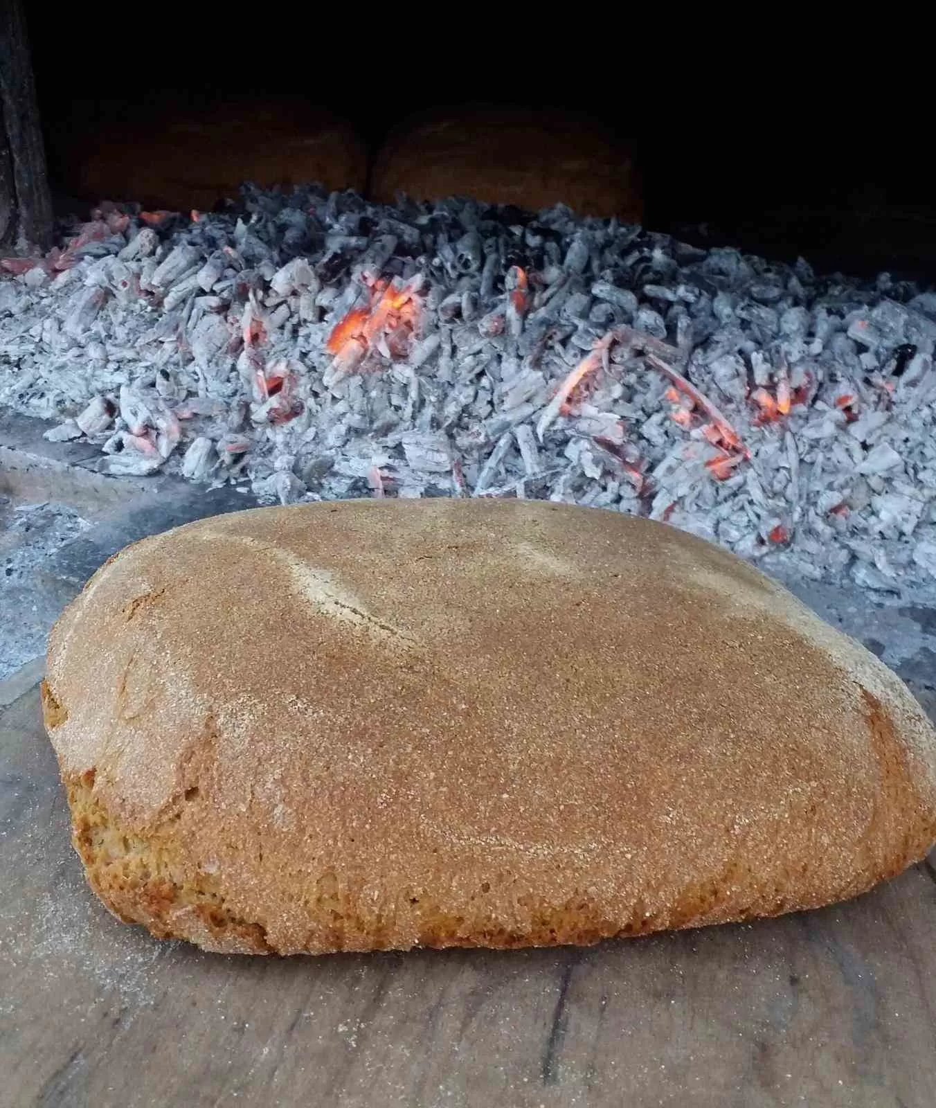 İzmir Seferihisar'ın atalık buğdayı topan karakılçıktan yapılan ata ekmeği, TÜBİTAK 4006 projesi arasına girdi.