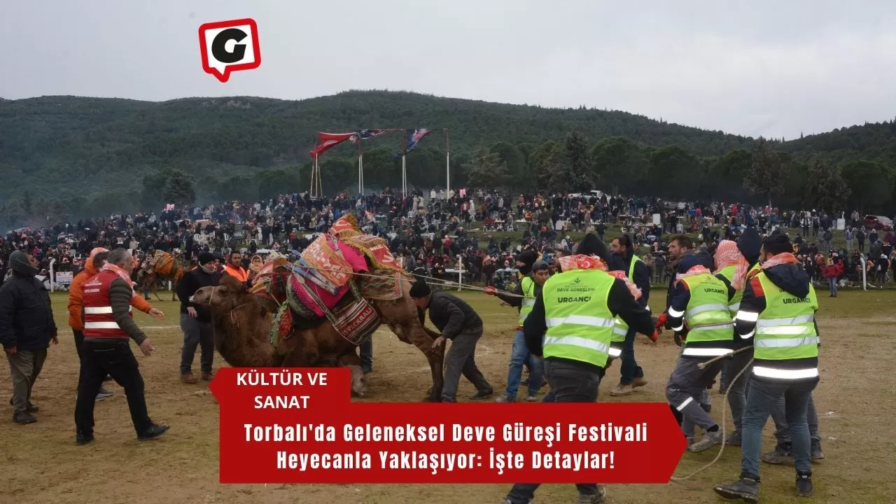 Torbalı'da Geleneksel Deve Güreşi Festivali Heyecanla Yaklaşıyor: İşte Detaylar!