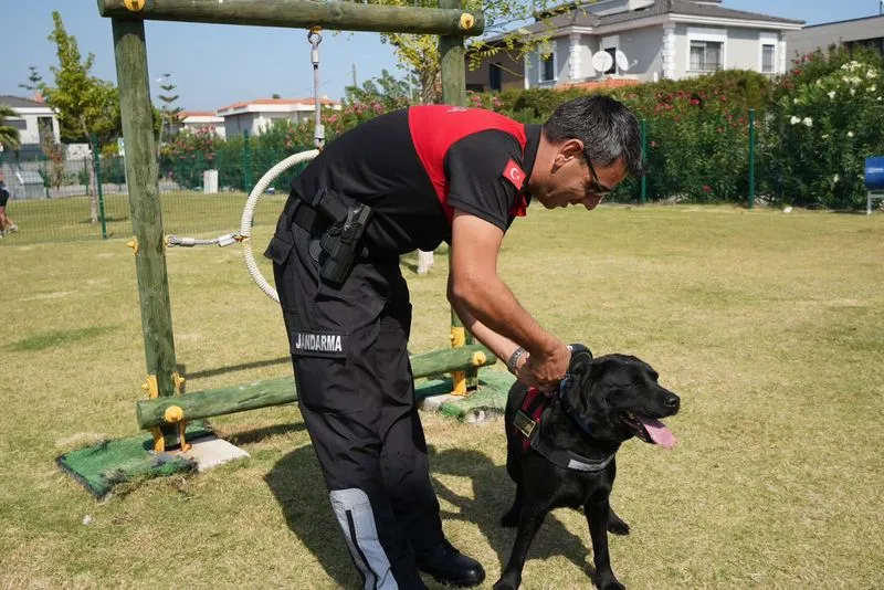 Çeşme Belediyesi, 4 Ekim Dünya Hayvanları Koruma Günü'nde Alaçatı Pati Park'ta düzenlediği etkinlikte sokak hayvanlarına yönelik çalışmalarını anlattı.