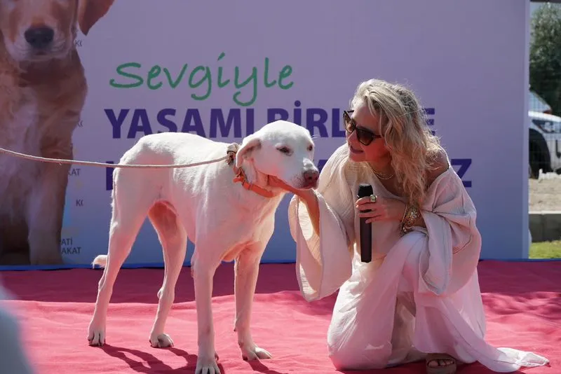 Çeşme Belediyesi, 4 Ekim Dünya Hayvanları Koruma Günü'nde Alaçatı Pati Park'ta düzenlediği etkinlikte sokak hayvanlarına yönelik çalışmalarını anlattı.