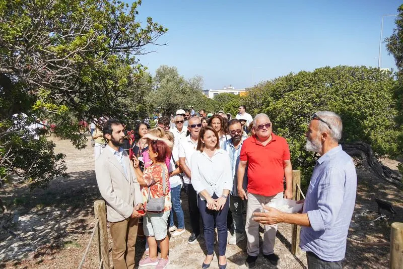 Çeşme Belediyesi ve S.S. Çeşmeköy Tarımsal Kalkınma Kooperatifi iş birliğiyle hayata geçirilen "Sakız Ağacım Çeşme" projesi kapsamında 5 yıl içinde 100 bin sakız ağacı dikilmesi hedefleniyor.