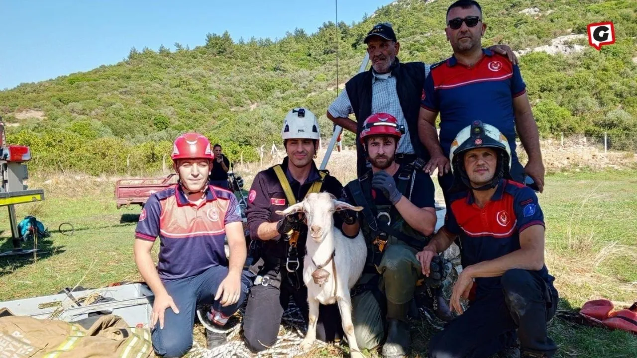 İzmir İtfaiyesi Kuyuya Düşen Keçiyi Kurtardı!