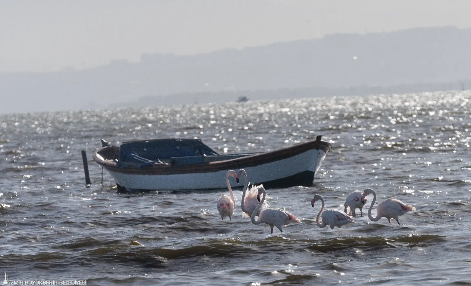 İzmir ve Lübliyana, kuraklıkla mücadele ve sulak alanların korunması için uluslararası bir iş birliği başlattı.