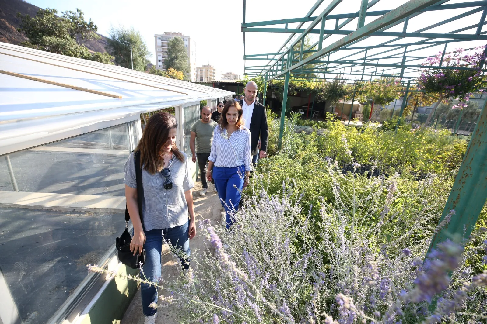 Karşıyaka Belediyesi, park ve bahçelere dikilecek mevsimlik çiçekler ile çalı türü bitkileri kendi serasında yetiştirmeye başladı.