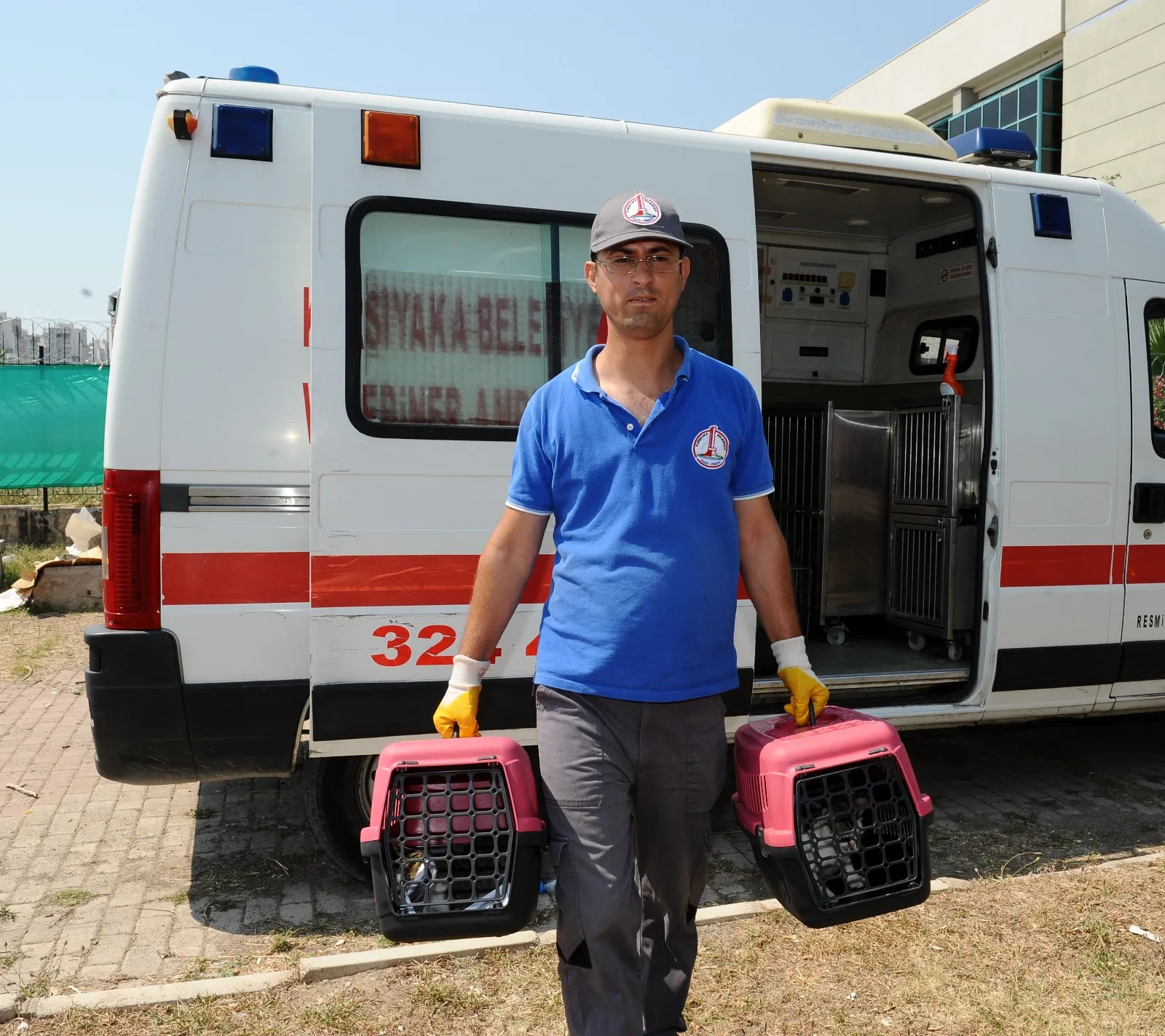 Karşıyaka Belediyesi, sokak kedilerinin sağlığı için önemli bir adım attı! Artık online randevu ile ücretsiz kısırlaştırma işlemi yaptırabilirsiniz. 