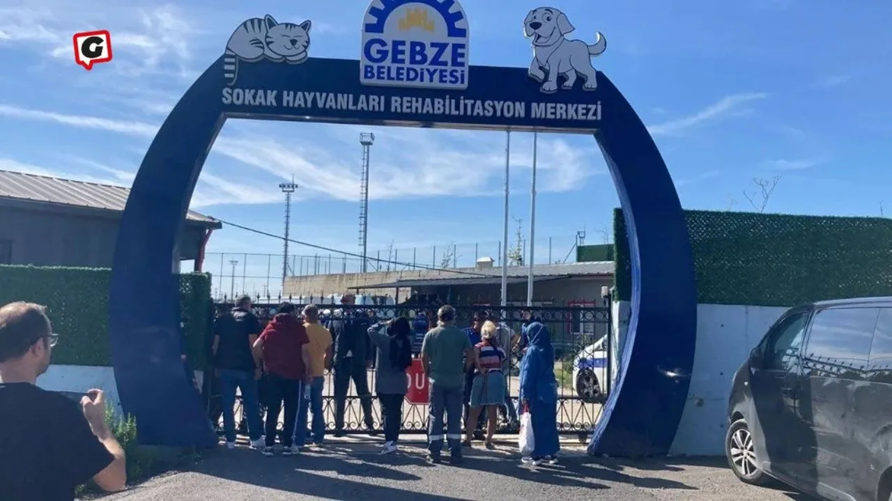 Kocaeli'de Rehabilitasyon Merkezinde 45 Hayvanın İğneyle Ölümü