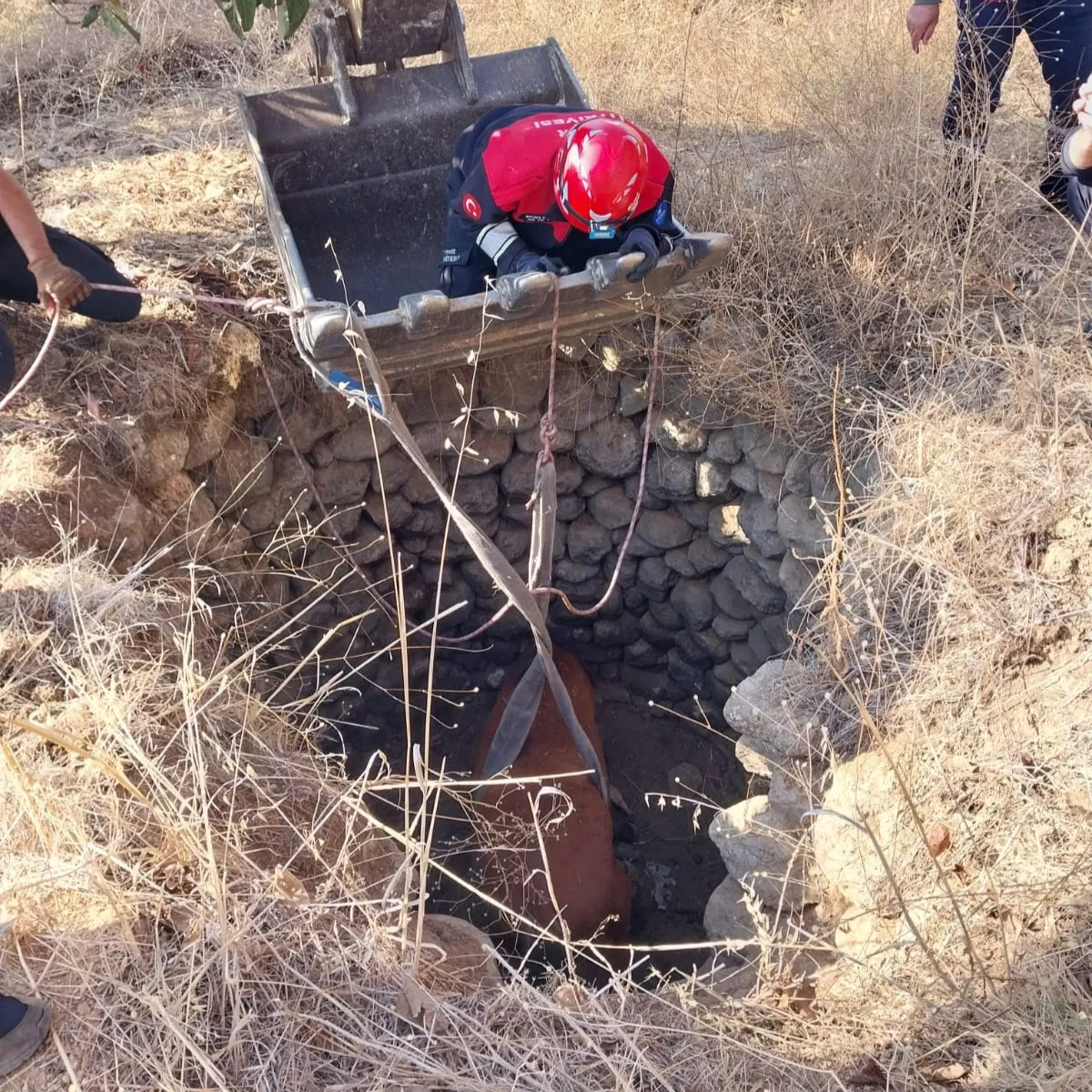 Kemalpaşa Ulucak Mahallesi’nde su kuyusuna düşen yılkı atı, itfaiye ve belediye ekiplerinin titiz çalışmaları sonucu kurtarılarak doğaya salındı.