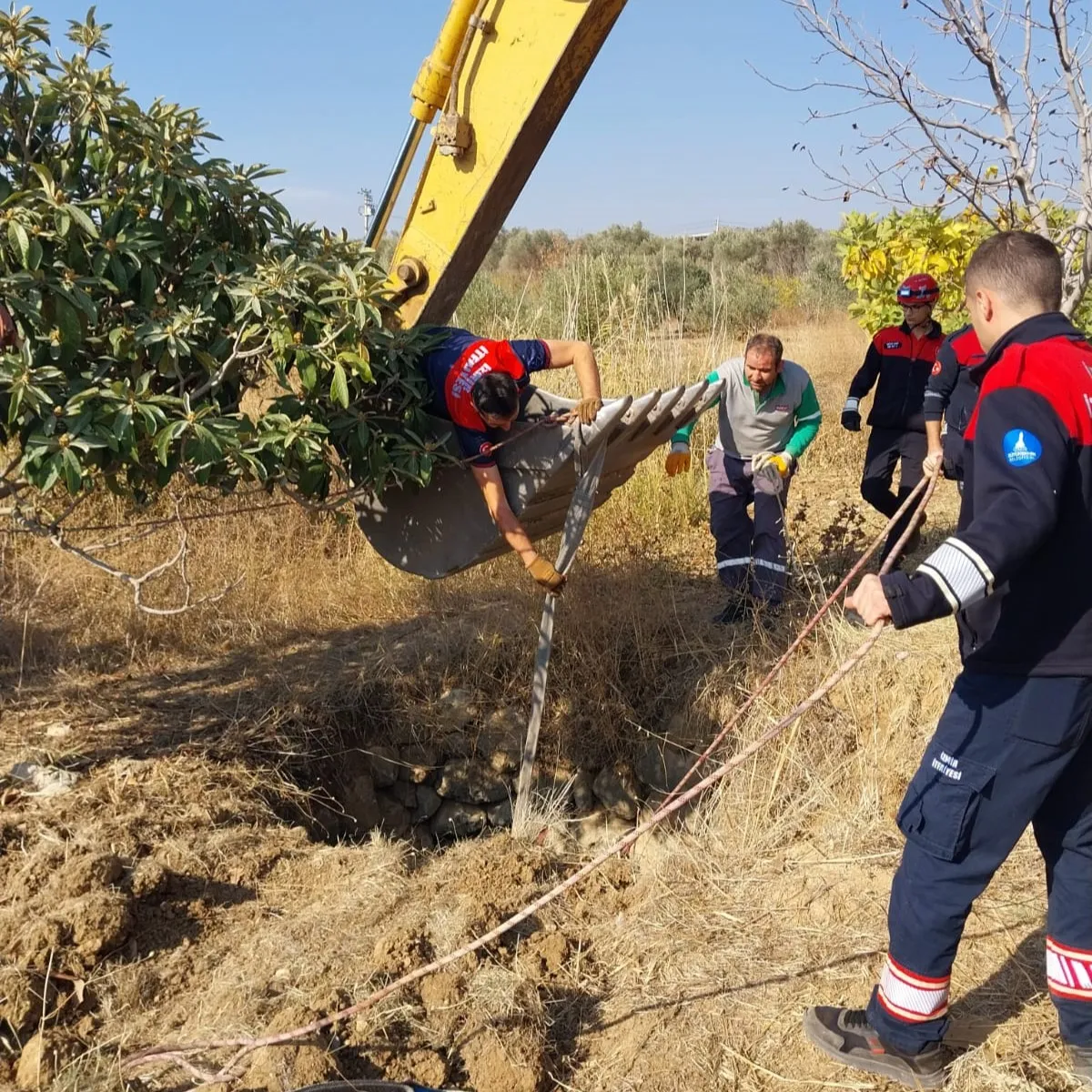 Kemalpaşa Ulucak Mahallesi’nde su kuyusuna düşen yılkı atı, itfaiye ve belediye ekiplerinin titiz çalışmaları sonucu kurtarılarak doğaya salındı.