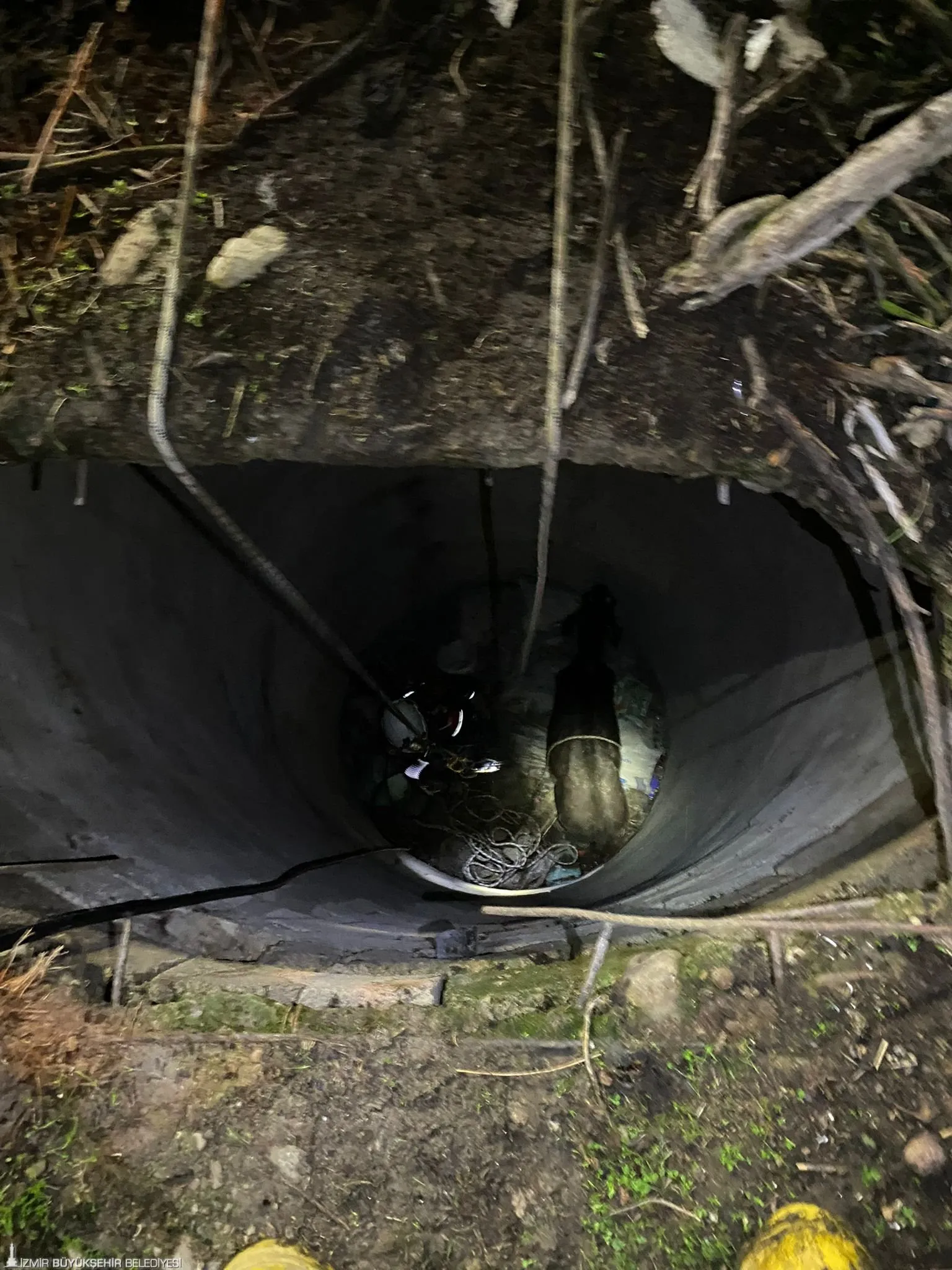 bir buzağı 15 metre derinliğindeki bir kuyuya düştü. İtfaiye ekiplerinin yoğun çabalarıyla kurtarılan hayvan, sahiplerinin kollarına teslim edildi.