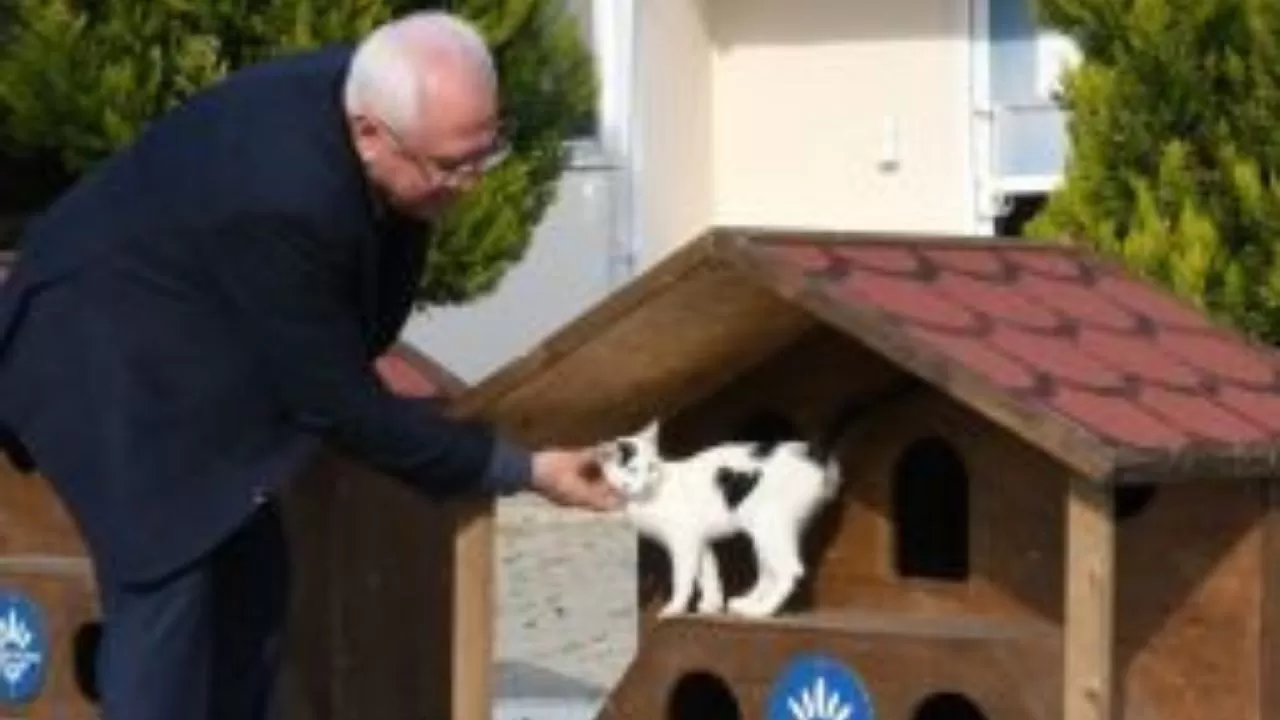 Karabağlar'da Minik Dostlara Sıcak Yuvalar: Sokak Kedileri Artık Daha Rahat